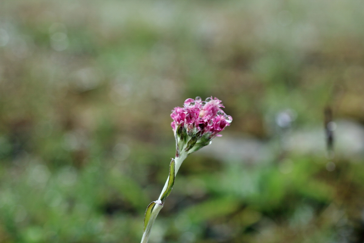 2014_07_27_00004770p_Bildgr��e �ndern