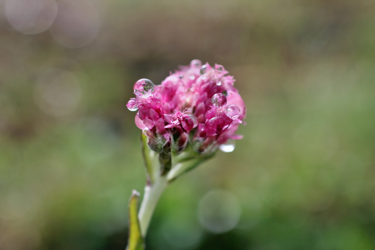 2014_07_27_00004774p_Bildgr��e �ndern