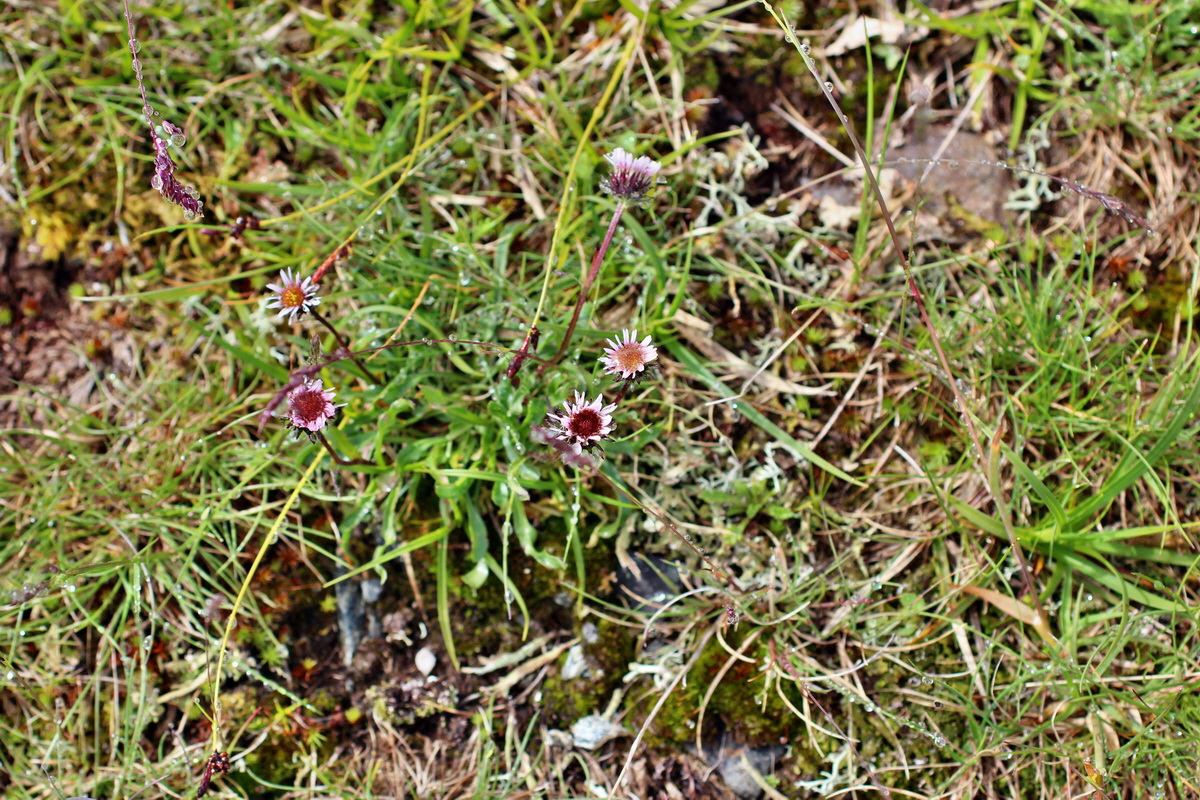 2014_07_27_00004783p_Bildgr��e �ndern