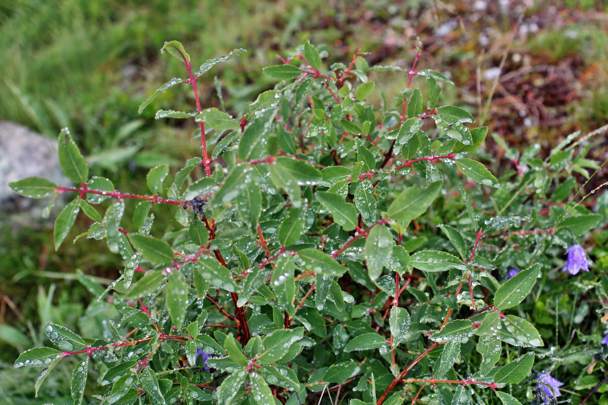 2014_07_27_00004795p_Bildgr��e �ndern