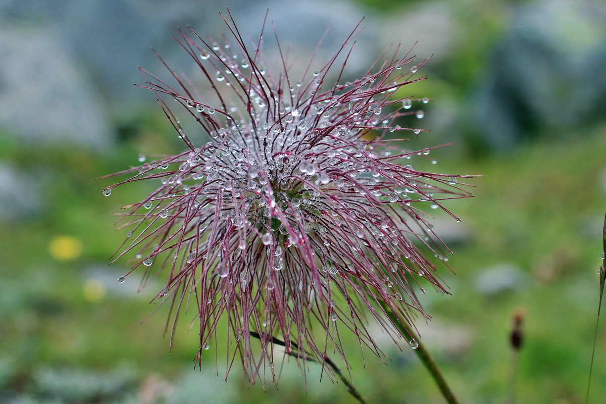 2014_07_27_00004797p_Bildgr��e �ndern