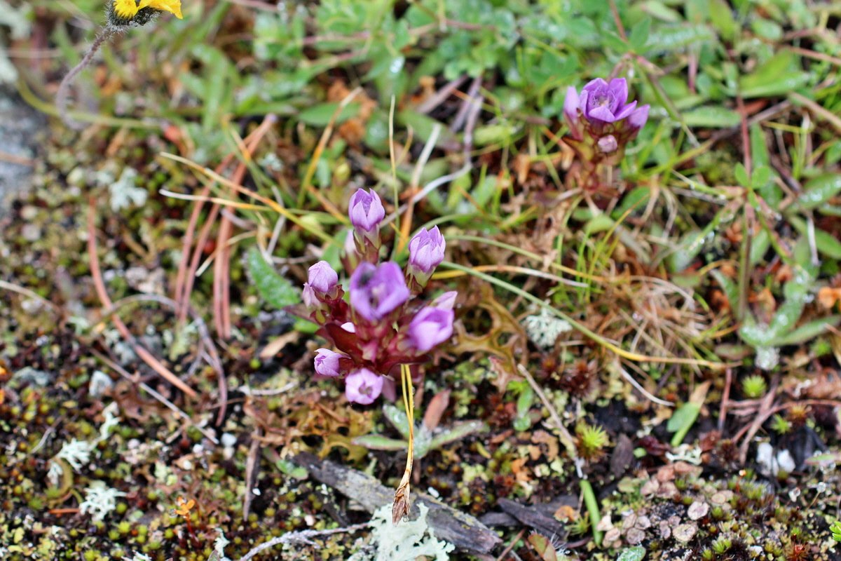 2014_07_27_00004807p_Bildgr��e �ndern