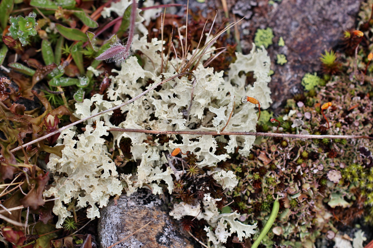 2014_07_27_00004810p_Bildgr��e �ndern