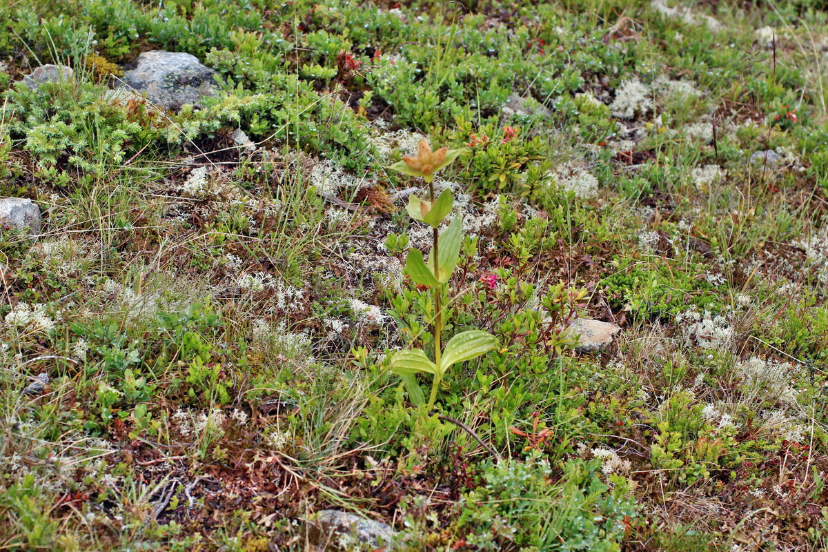 2014_07_27_00004812p_Bildgr��e �ndern