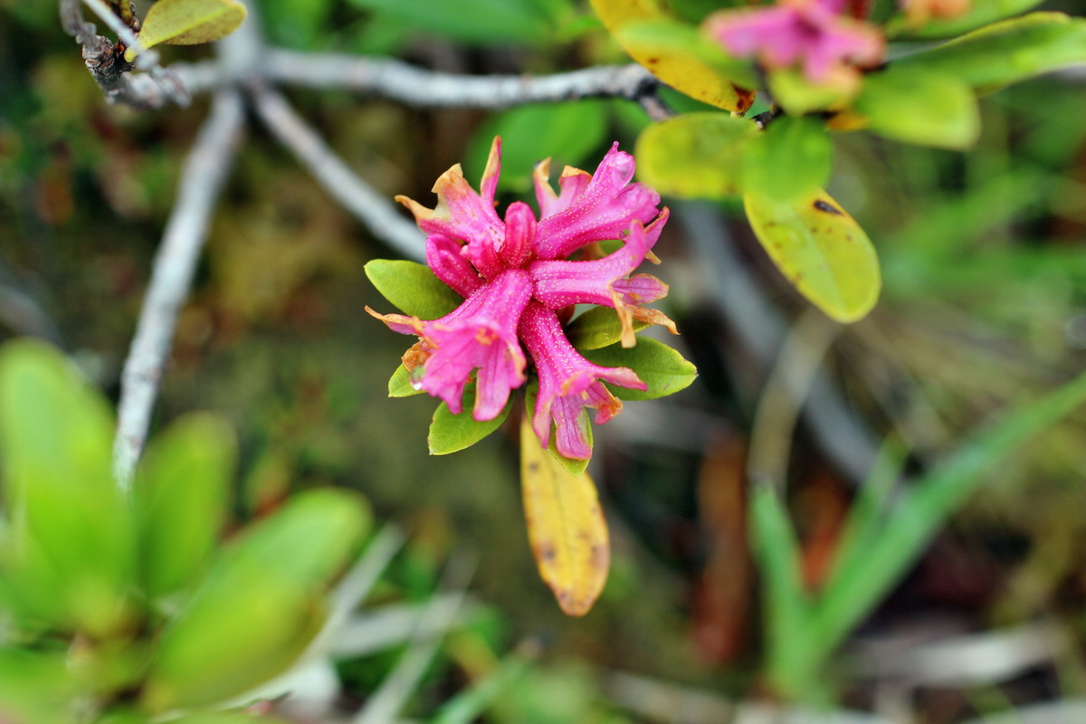 2014_07_27_00004825p_Bildgr��e �ndern