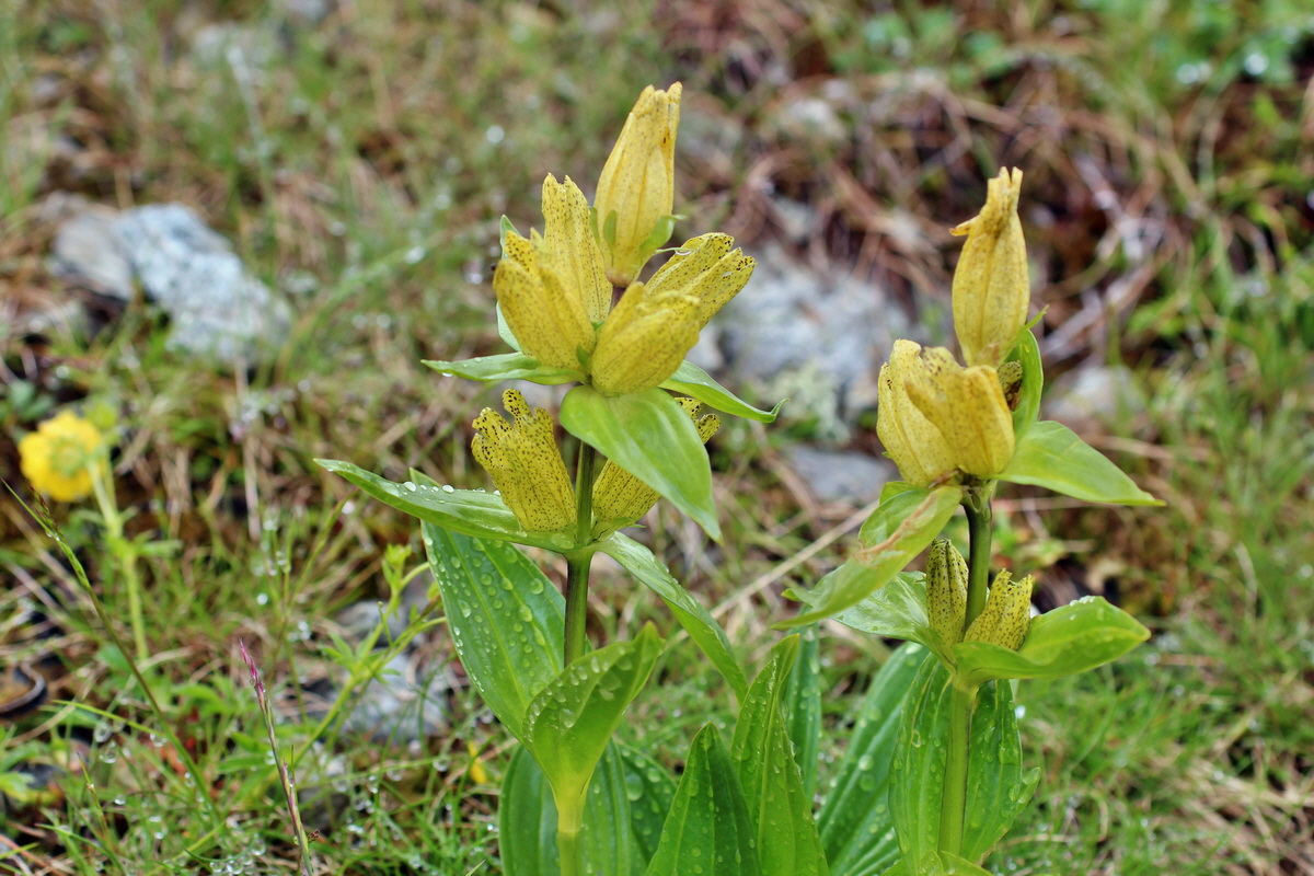 2014_07_27_00004831p_Bildgr��e �ndern