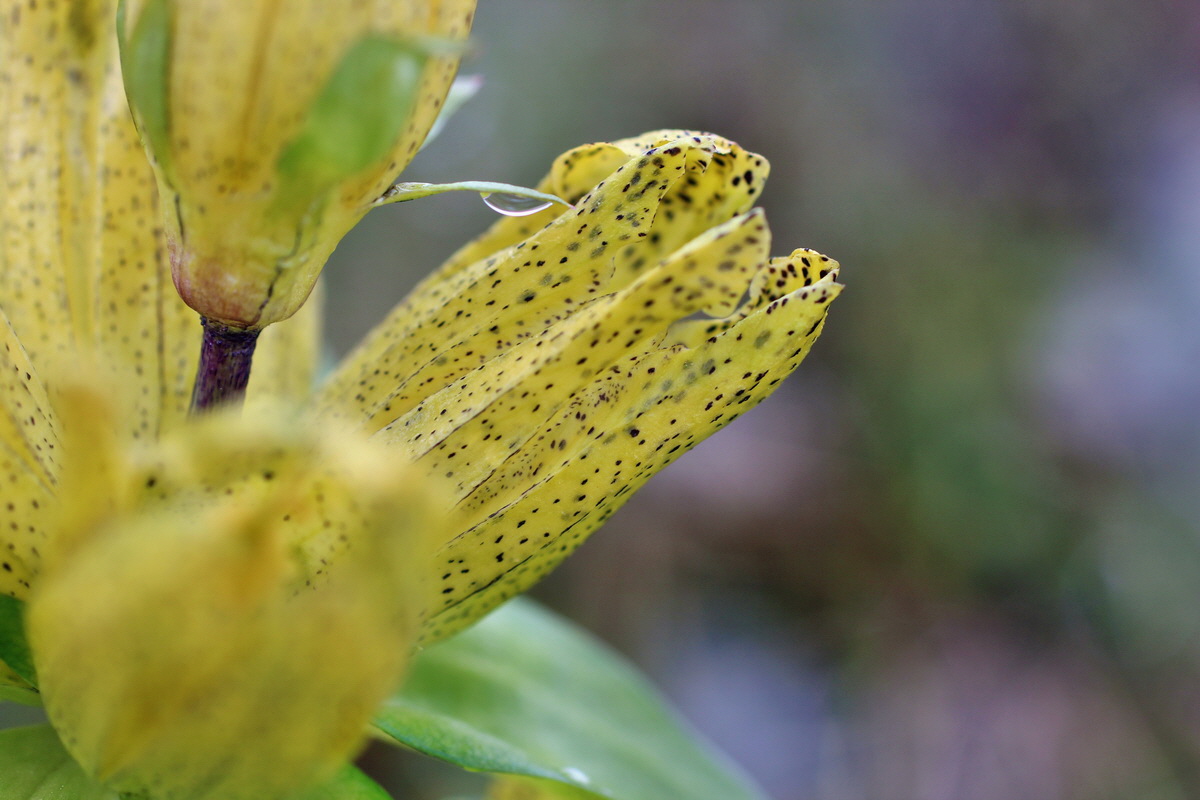 2014_07_27_00004833p_Bildgr��e �ndern