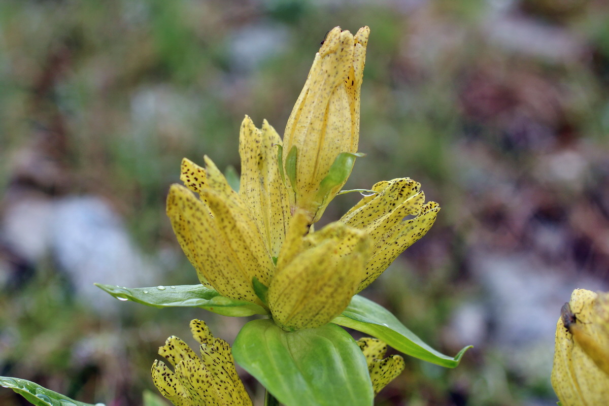 2014_07_27_00004837p_Bildgr��e �ndern