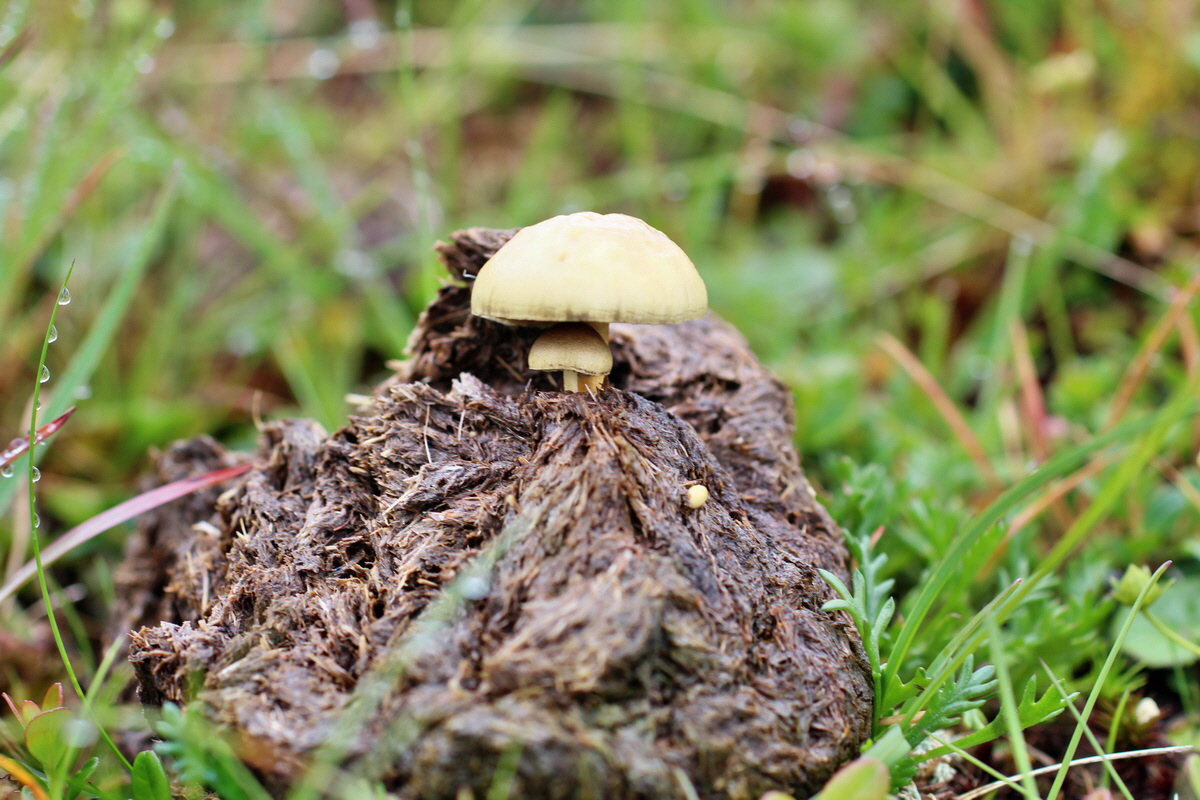 2014_07_27_00004839p_Bildgr��e �ndern