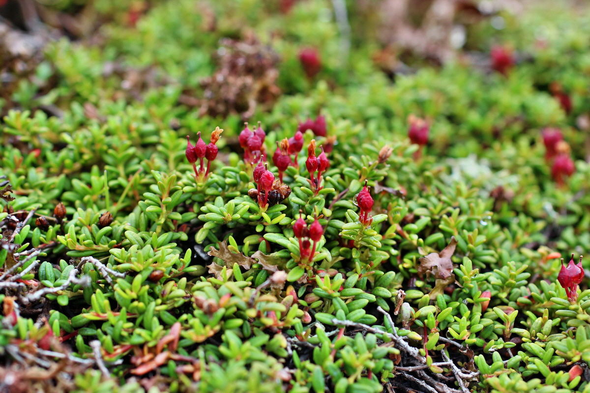 2014_07_27_00004843p_Bildgr��e �ndern