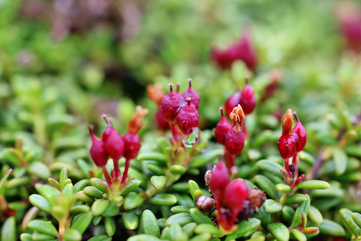 2014_07_27_00004848p_Bildgr��e �ndern