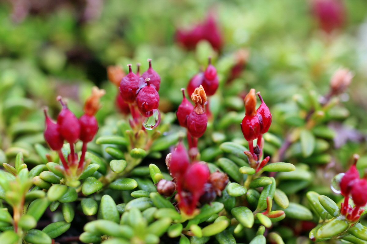 2014_07_27_00004851p_Bildgr��e �ndern