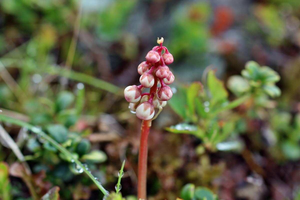 2014_07_27_00004871p_Bildgr��e �ndern