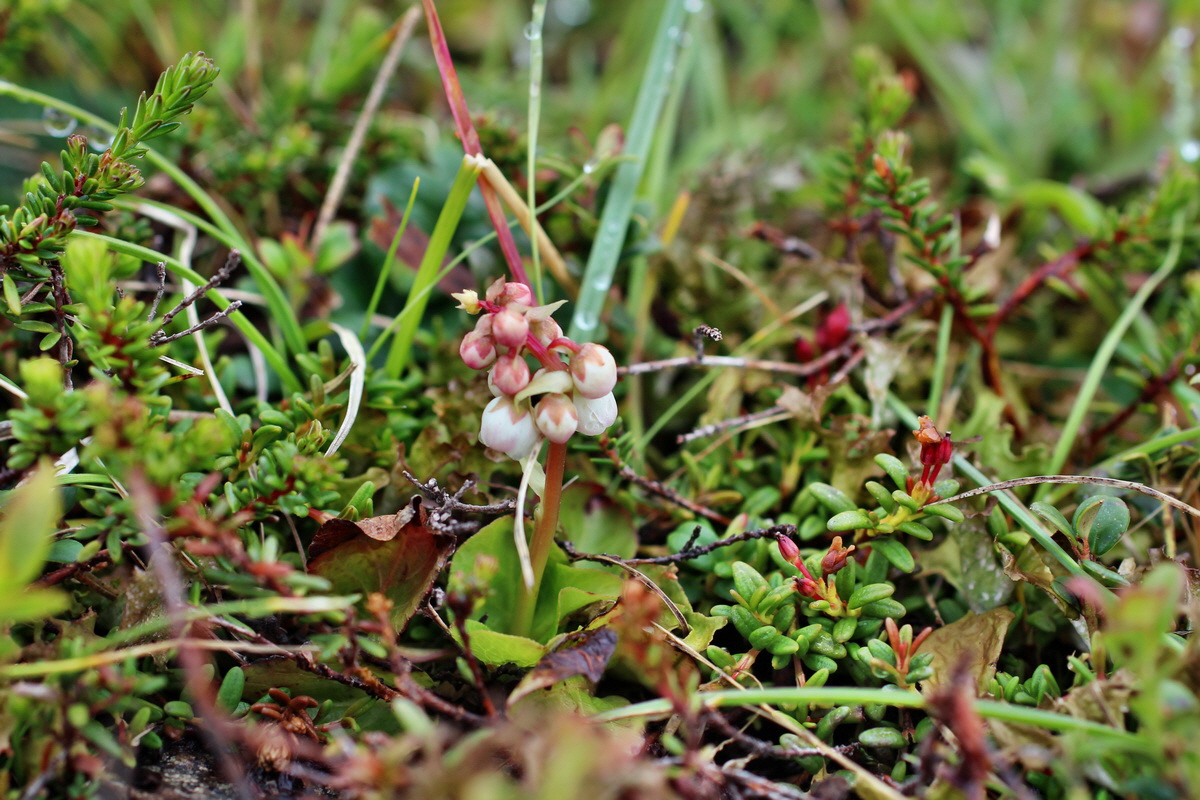 2014_07_27_00004873p_Bildgr��e �ndern