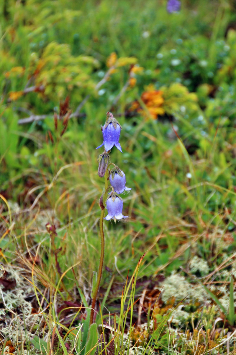 2014_07_27_00004960p_Bildgr��e �ndern