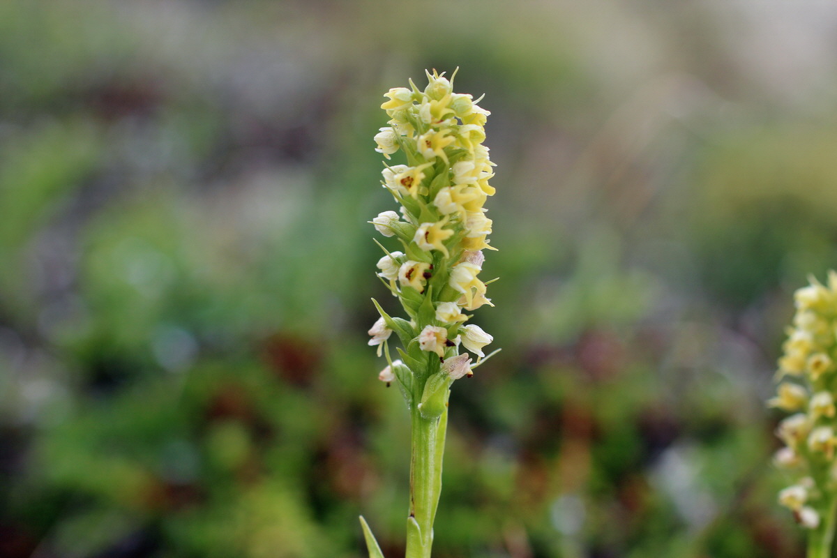 2014_07_27_00004972p_Bildgr��e �ndern