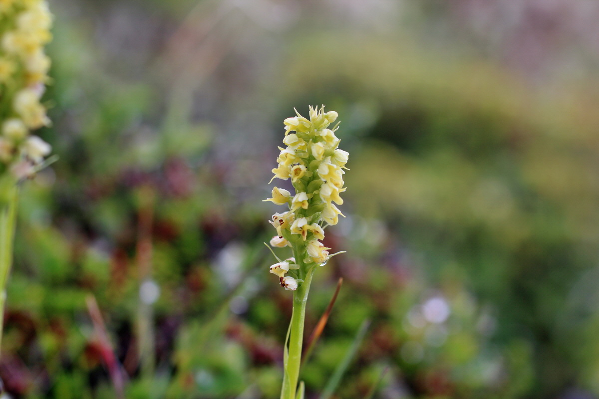 2014_07_27_00004976p_Bildgr��e �ndern