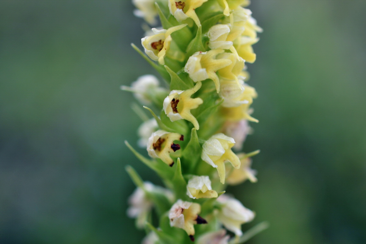 2014_07_27_00004980p_Bildgr��e �ndern