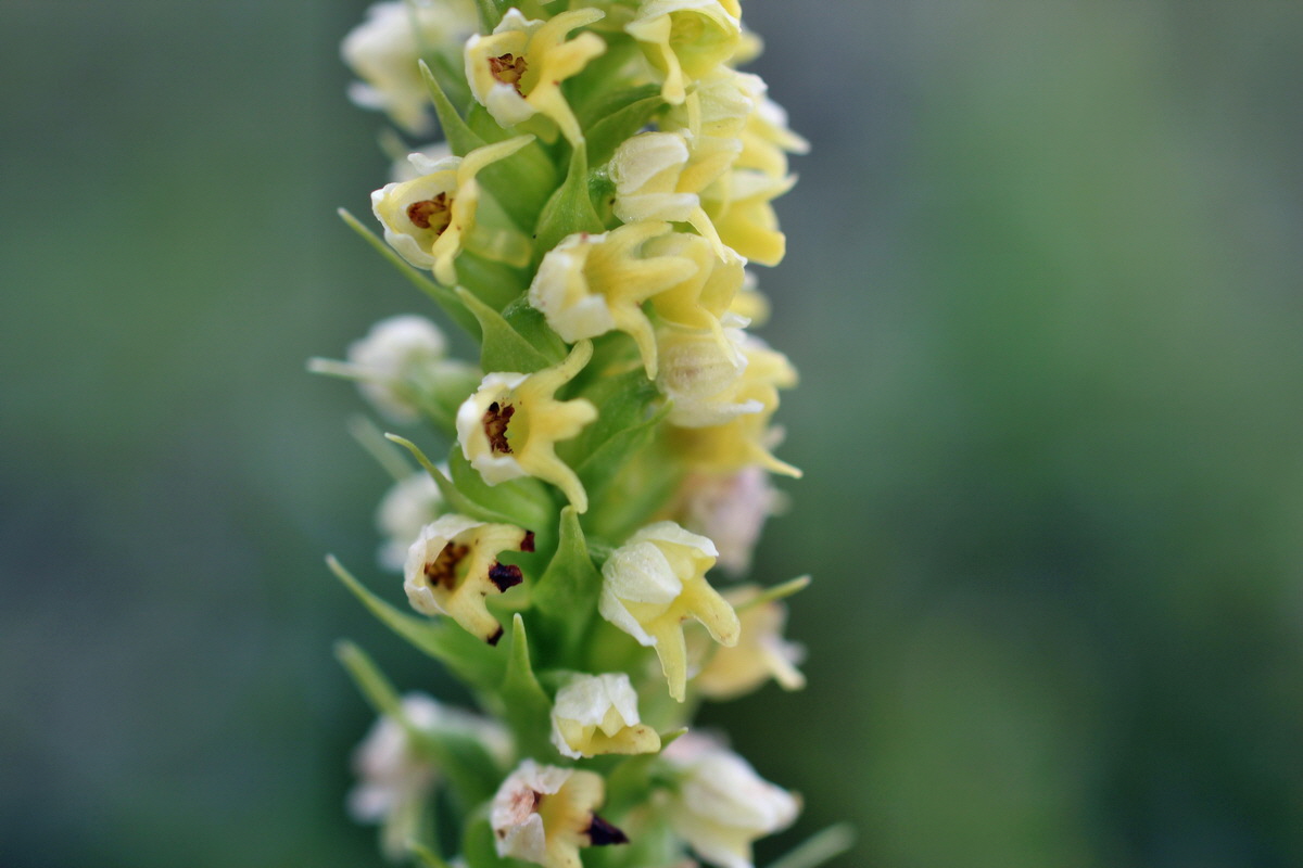 2014_07_27_00004985p_Bildgr��e �ndern