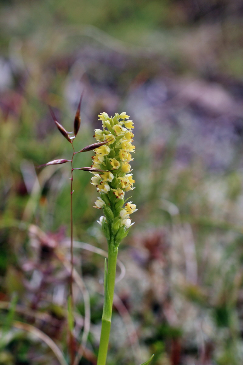 2014_07_27_00005001p_Bildgr��e �ndern