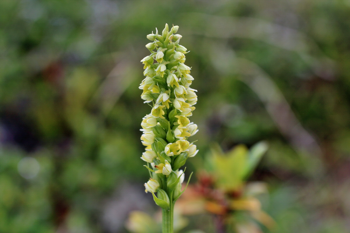 2014_07_27_00005016p_Bildgr��e �ndern