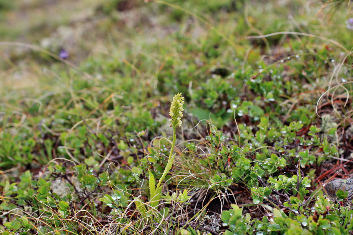 2014_07_27_00005019p_Bildgr��e �ndern