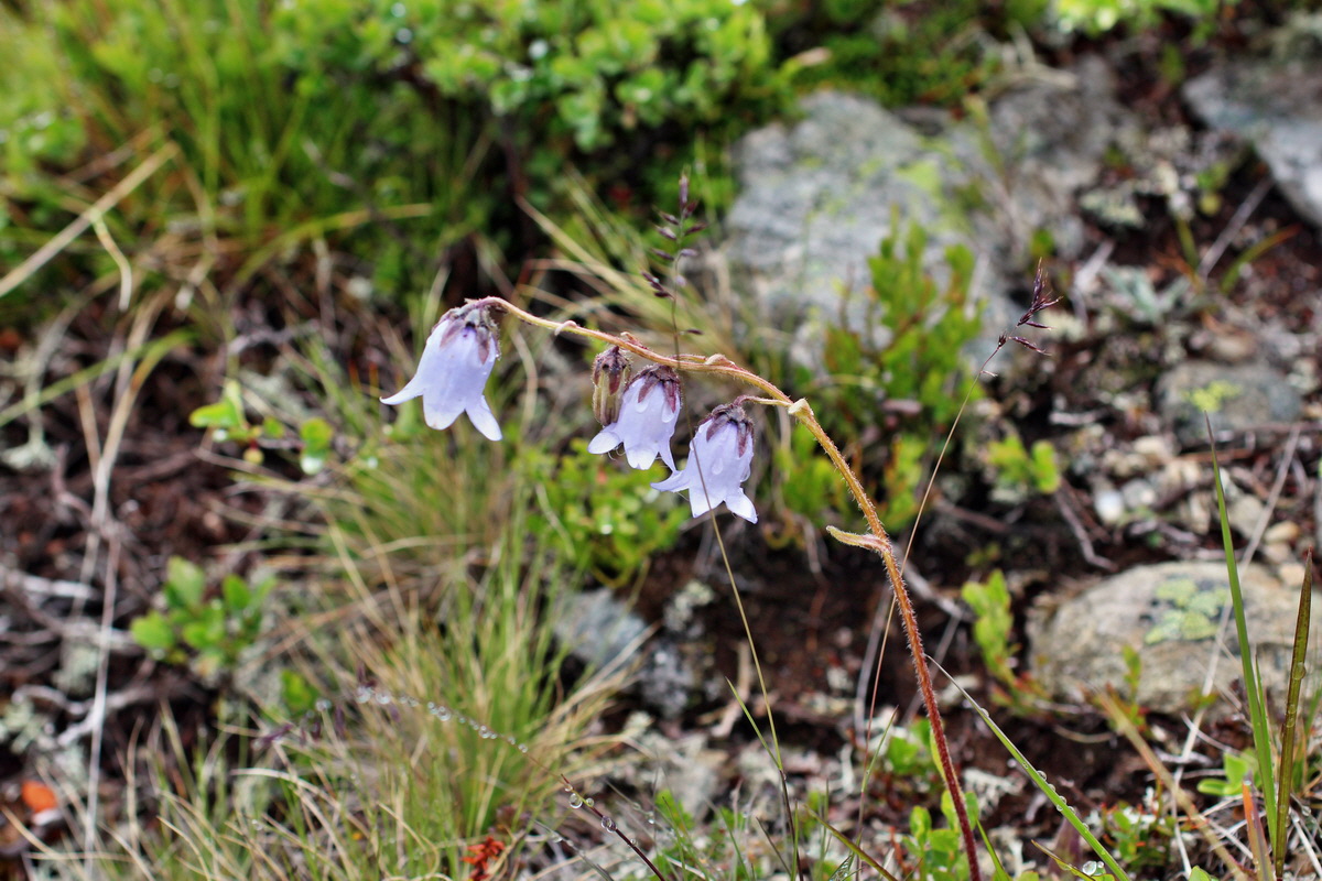 2014_07_27_00005024p_Bildgr��e �ndern