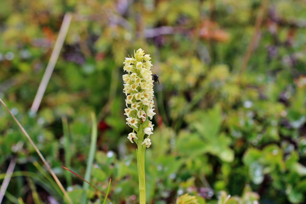 2014_07_27_00005027p_Bildgr��e �ndern