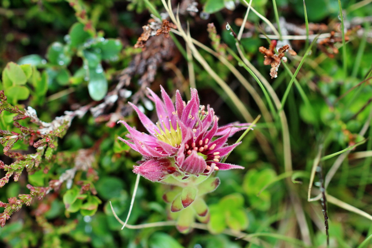 2014_07_27_00005039p_Bildgr��e �ndern