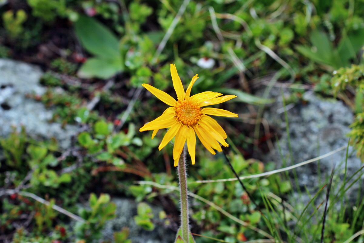 2014_07_27_00005043p_Bildgr��e �ndern