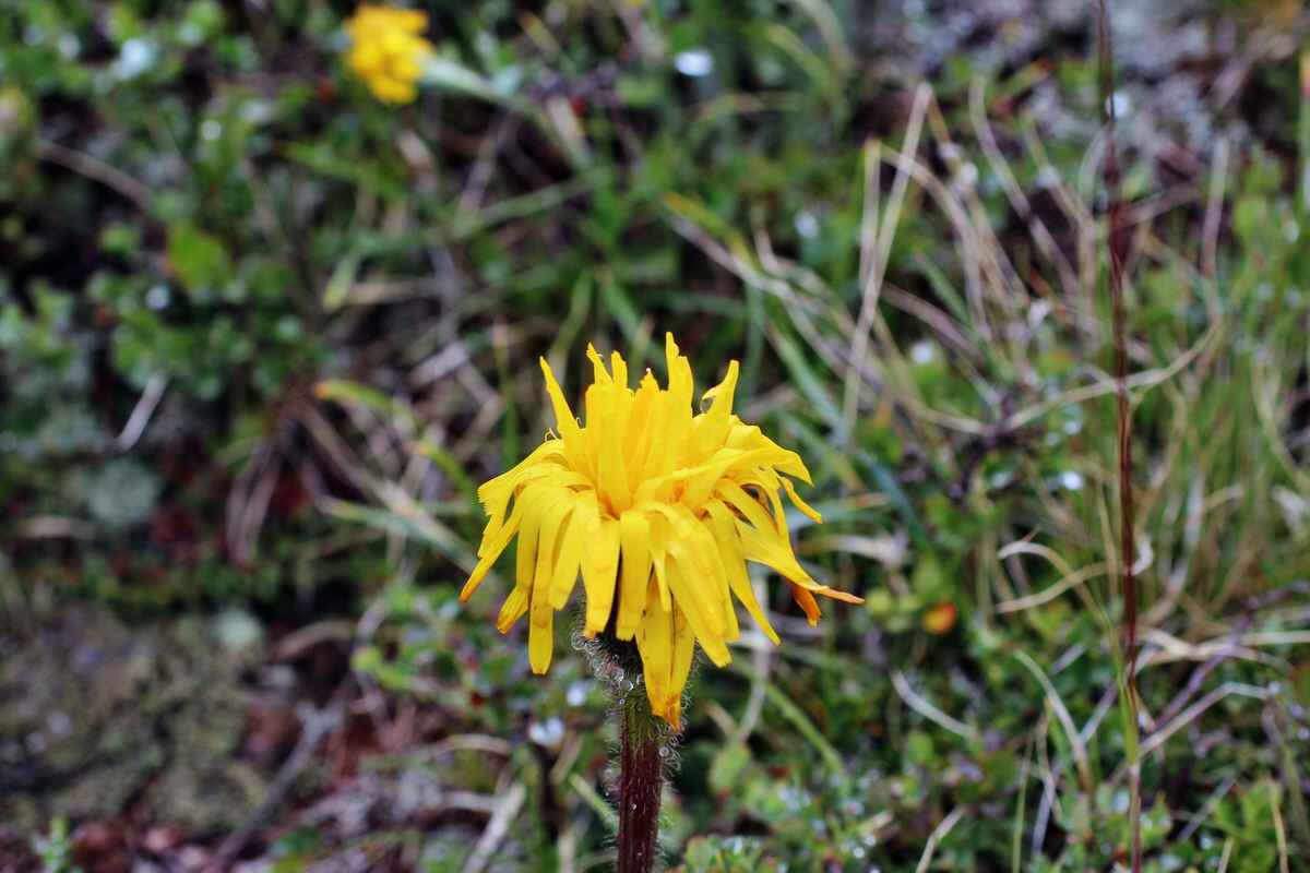 2014_07_27_00005050p_Bildgr��e �ndern