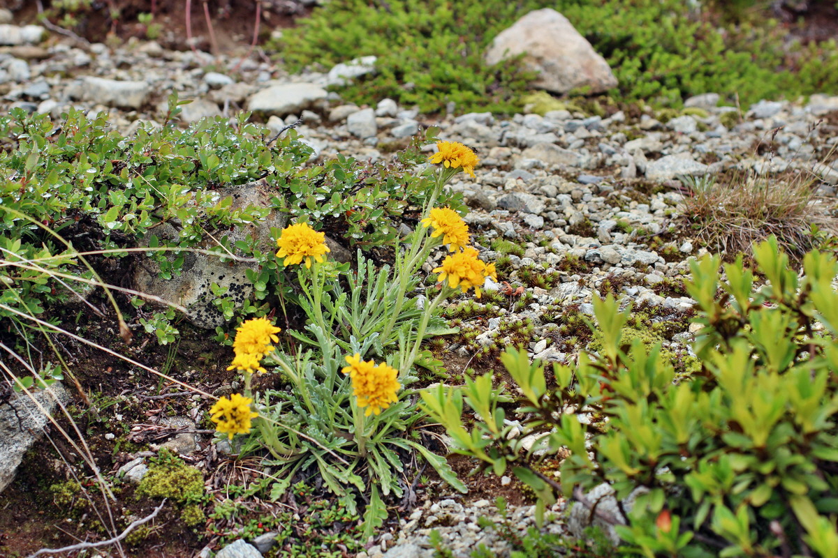 2014_07_27_00005057p_Bildgr��e �ndern