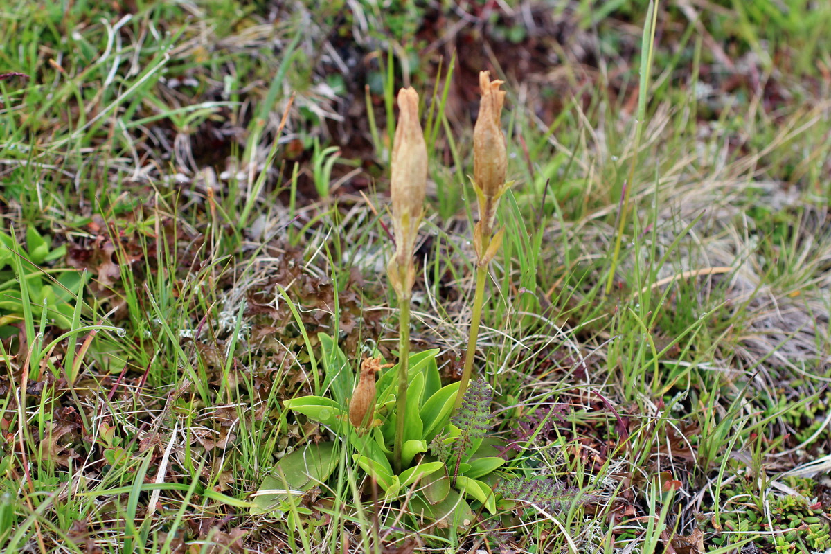 2014_07_27_00005064p_Bildgr��e �ndern