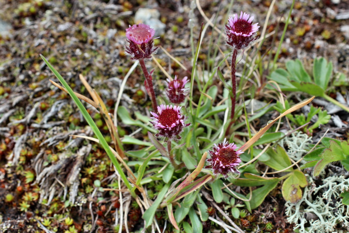 2014_07_27_00005082p_Bildgr��e �ndern