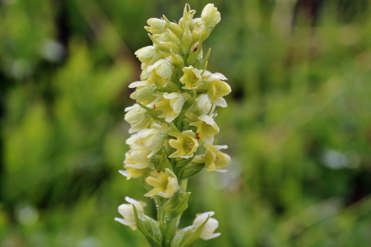 2014_07_27_00005105p_Bildgr��e �ndern