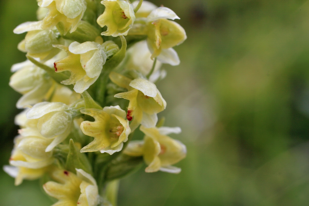 2014_07_27_00005110p_Bildgr��e �ndern