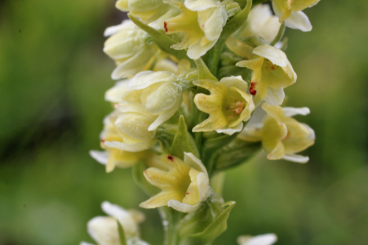 2014_07_27_00005123p_Bildgr��e �ndern