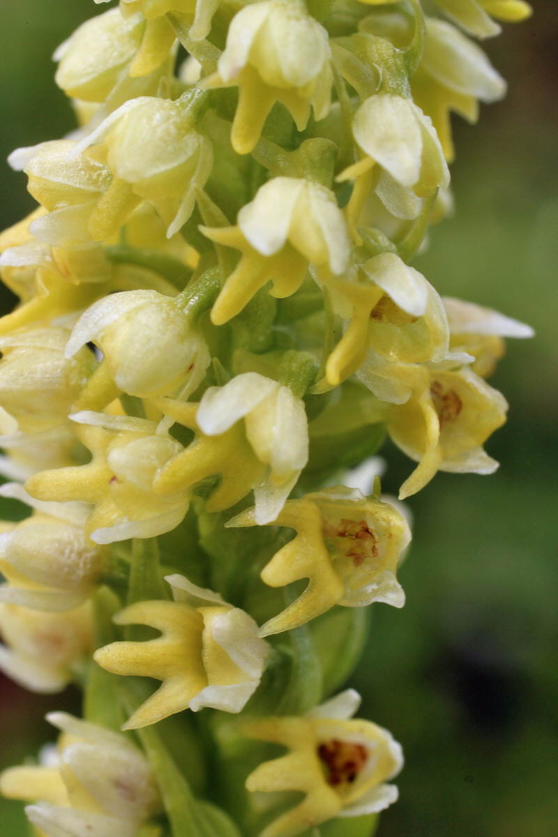 2014_07_27_00005130p_Bildgr��e �ndern