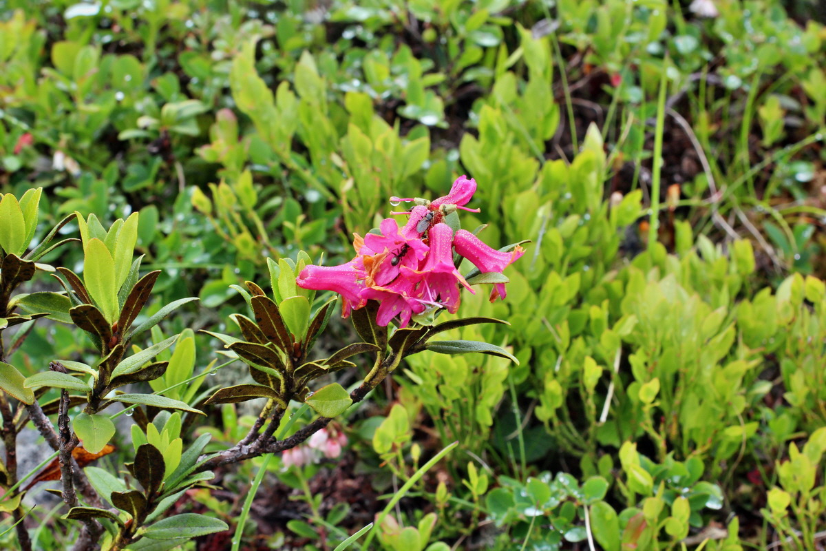 2014_07_27_00005145p_Bildgr��e �ndern