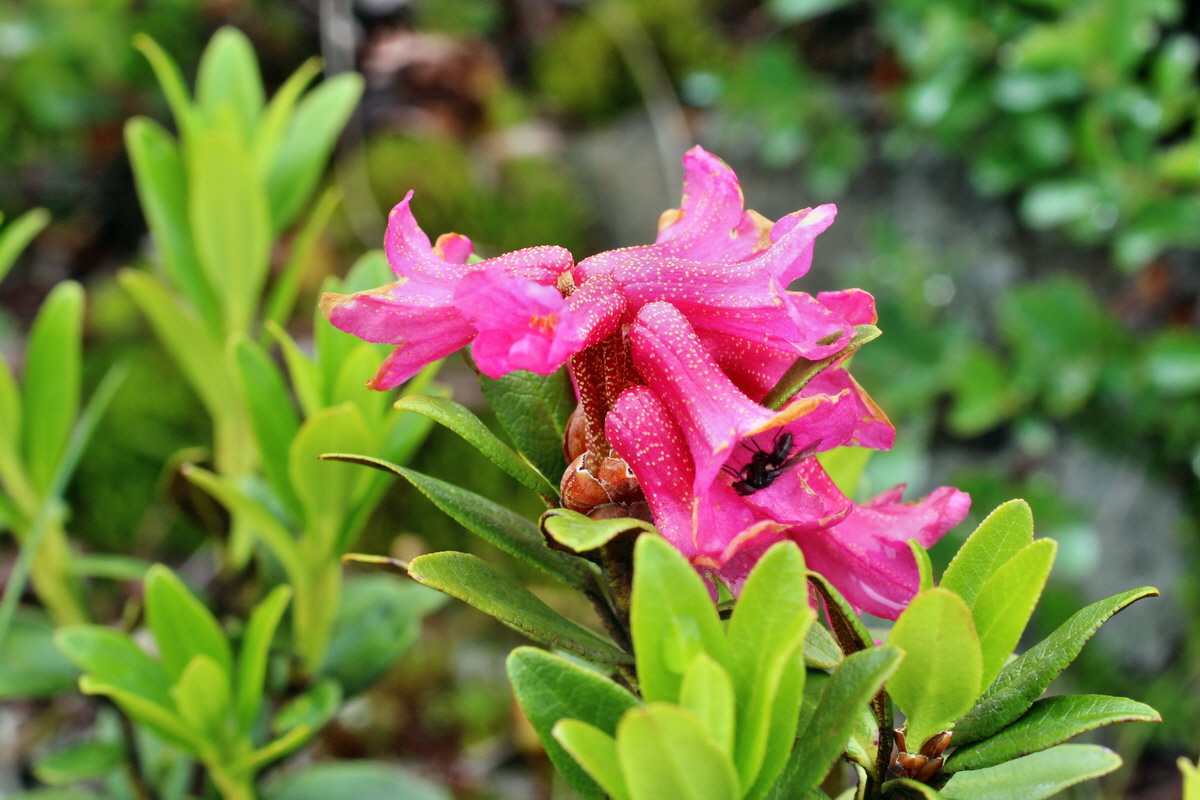 2014_07_27_00005147p_Bildgr��e �ndern