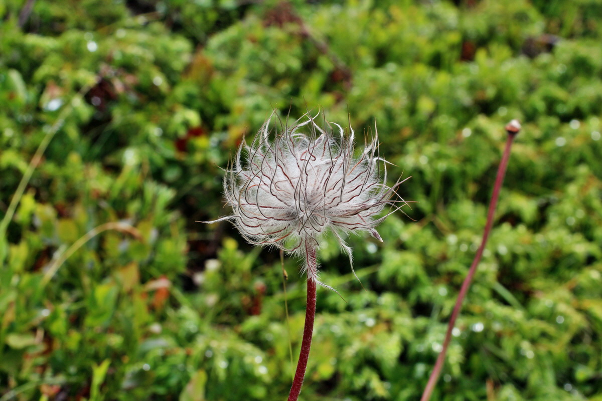 2014_07_27_00005150p_Bildgr��e �ndern