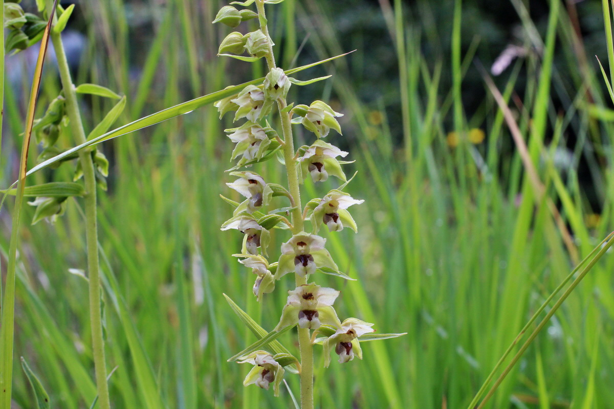 2014_07_27_00005312p_Bildgr��e �ndern