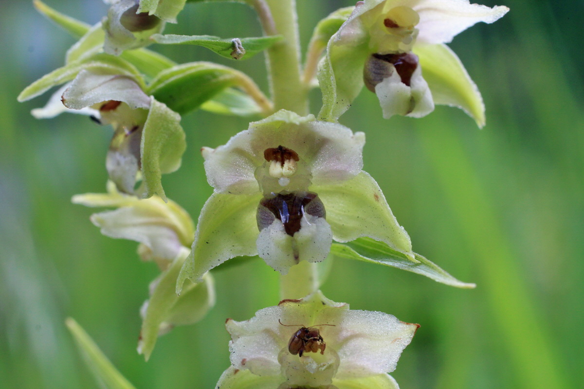 2014_07_27_00005316p_Bildgr��e �ndern