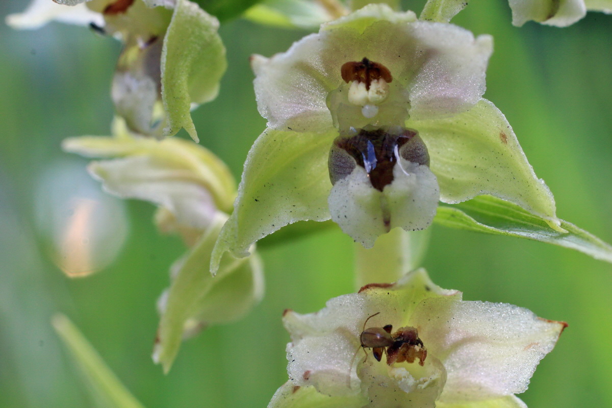 2014_07_27_00005318p_Bildgr��e �ndern