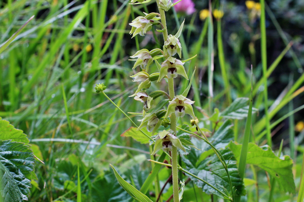 2014_07_27_00005324p_Bildgr��e �ndern