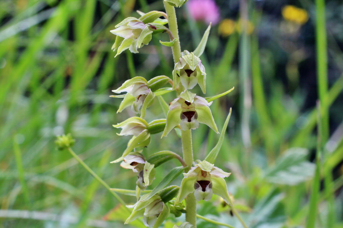 2014_07_27_00005328p_Bildgr��e �ndern