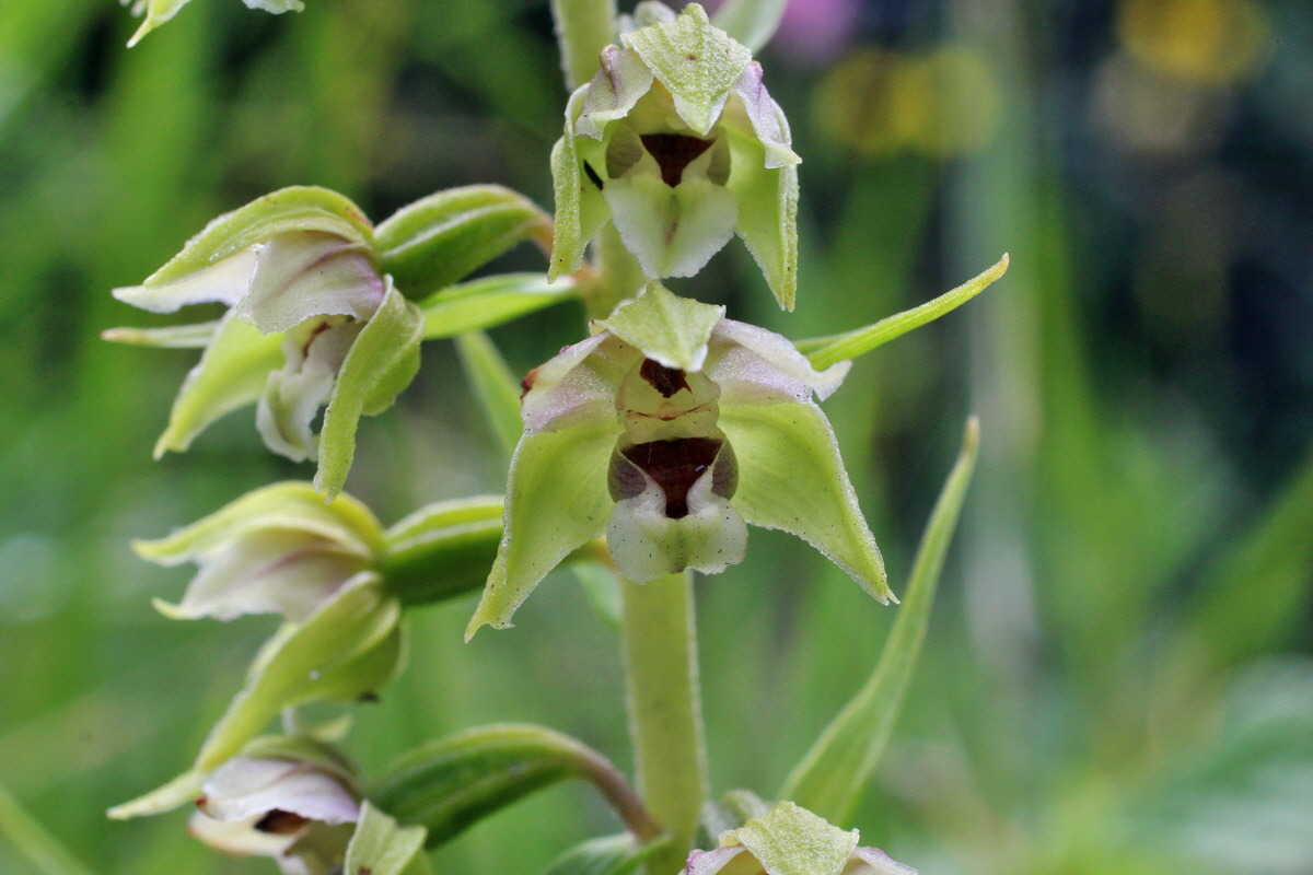 2014_07_27_00005333p_Bildgr��e �ndern