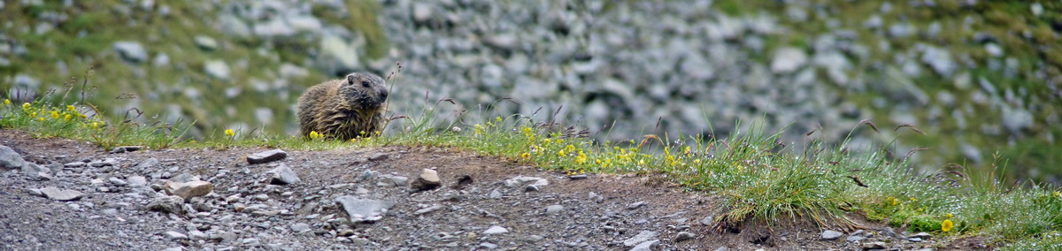 [Group 5]-P1150265_P1150266-2 imagesp_Bildgr��e �ndern