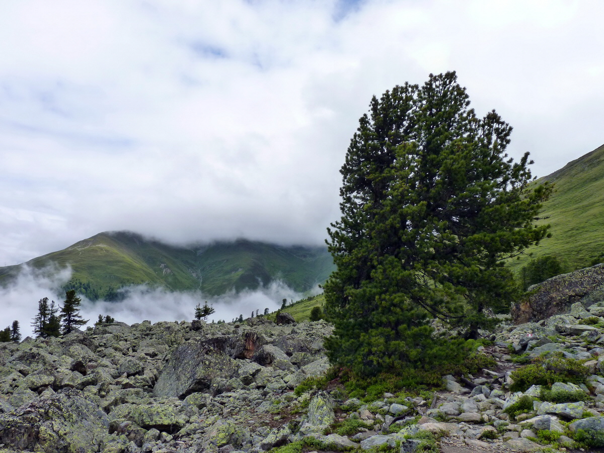 P1150254p_Bildgr��e �ndern