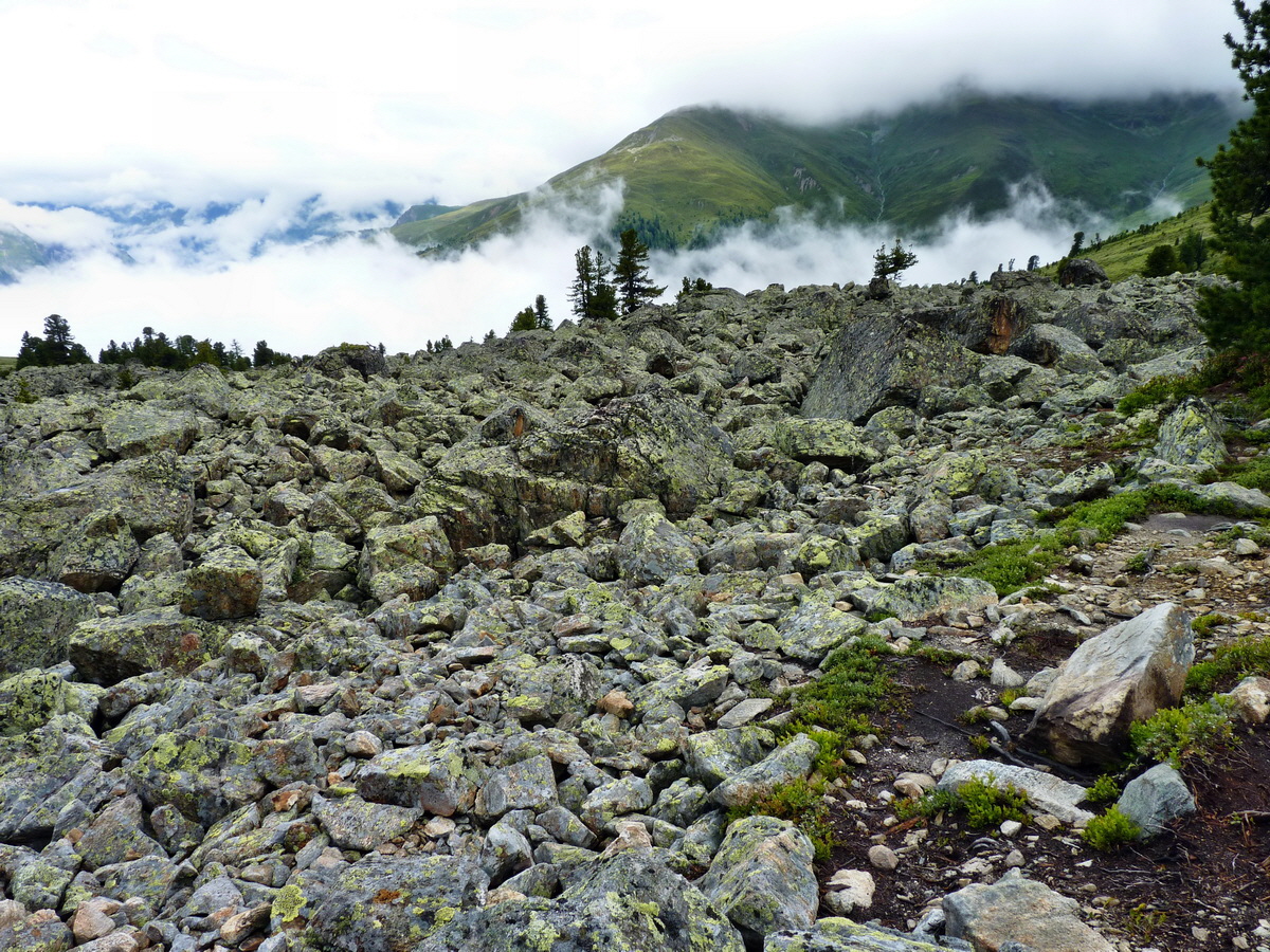 P1150256p_Bildgr��e �ndern